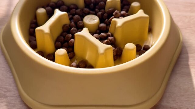Pouring dry kibble into a dog slow feeder bowl