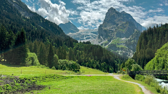Alpine Valley with Glacier, Forest and Mountain Stream. Green alpine meadow and forest beneath rugged mountain peaks and a glacier beside a flowing stream.