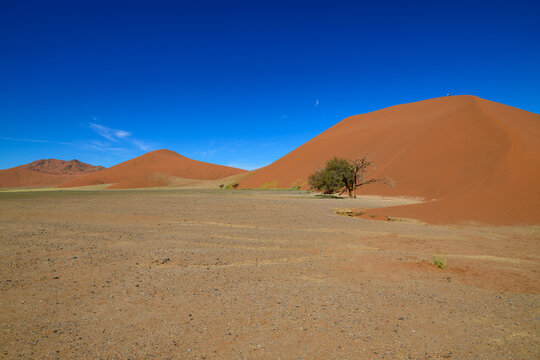 Namib Desert Dunescape