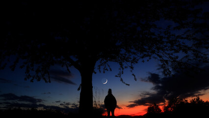 Silhouette of a person in nature observing night sky, Moon, stars and planets from a remote location. © astrosystem