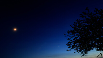 Moon on a twilight sky with stars, planets and landscape mountain silhouettes. © astrosystem