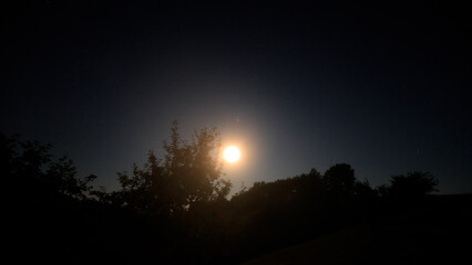 Moon on a night sky with nature silhouettes. © astrosystem