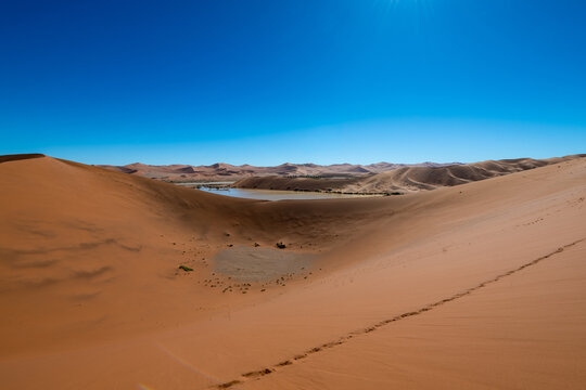 Sossusvlei Lake Oasis