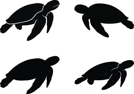Four sea turtle silhouettes swimming in formation Vector