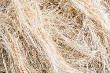 Fototapeta premium Fibers show texture of natural plant material in close up view with no visible colors or patterns