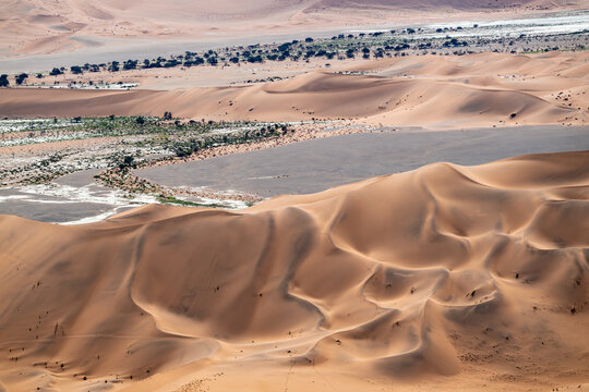 Namib Desert Dunes and Oasis