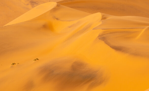 Namib Desert Dunescape