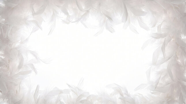 Elegant Soft White Feather Frame Border Isolated on Light Background