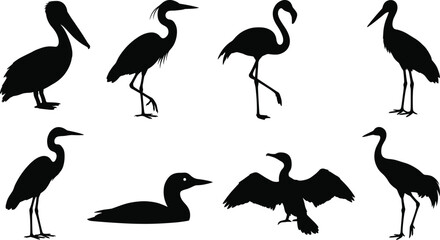 Fototapeta premium Water Bird Silhouette Collection with Pelican Heron Flamingo and Crane Symbols for Nature Graphic Design Projects