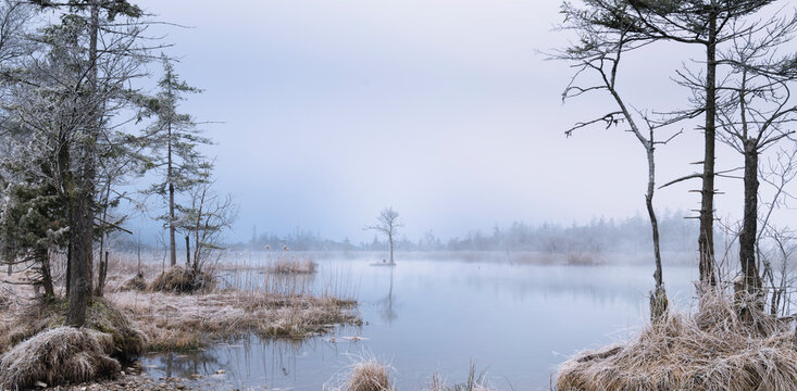 Wintermorgen an den Sieben Quellen, Eschenlohe, Bayern, Deutschland, Europa