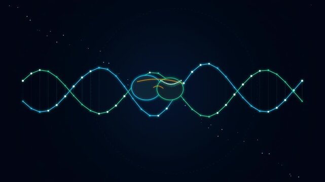 CRISPR Prime Editing Cas9 Reverse Transcriptase Precision DNA Write Loop