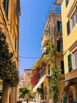 Sunny narrow alley in Corfu Old Town, Corfu, Greece with yellow facades and bougainvillea