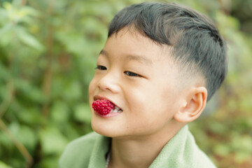 Smiling young boy enjoying a fresh raspberry outdoors in a green garden, representing healthy eating, childhood, nature exploration and joyful connection with fresh fruit. © DEWINs