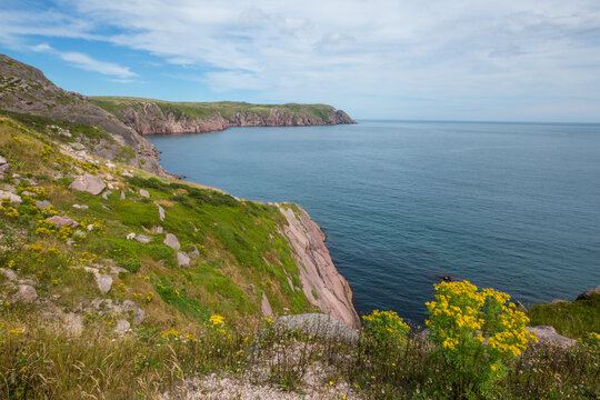 Newfoundland