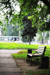 Fototapeta premium Tranquil Park Scene with Empty Bench and Blurred Bus in Urban Setting