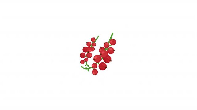 Carissa Spinarum Fruit