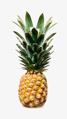 Fototapeta premium Fresh pineapple with vibrant green leaves on a white background.