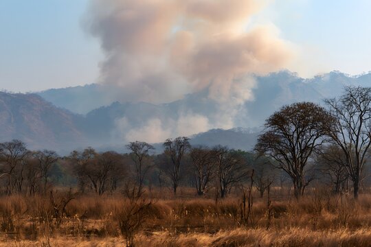 Gro&szlig;e Rauchwolke &uuml;ber trockener Landschaft w&auml;hrend eines Vegetationsbrandes
