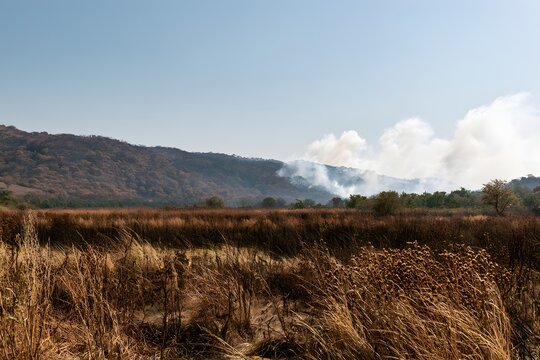 Ausgetrocknete Landschaft mit Rauchentwicklung w&auml;hrend extremer D&uuml;rre und Hitze