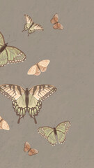 Aesthetic nature butterfly phone wallpaper © Rawpixel.com