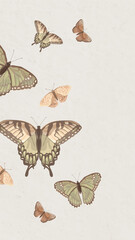 Aesthetic butterfly nature phone wallpaper © Rawpixel.com