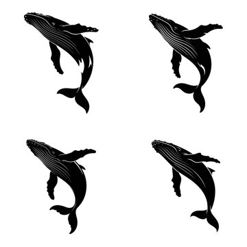 Humpback Whale Silhouette Vector Set