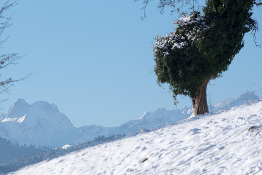 Winterlandschaft mit Sonnenschein, Schnee und Eis in den Schweizer Alpen