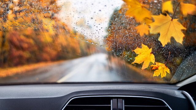 Car windshield wiper clearing wet autumn leaves with blurred rainy road background banner.