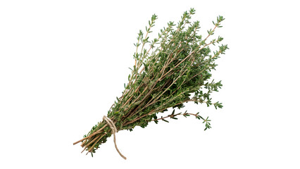 Bunch of fresh green organic thyme herbs isolated on transparent background © Pendleton-png