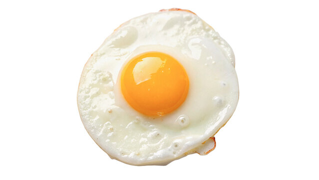 Single fried egg sunny side up isolated on transparent background