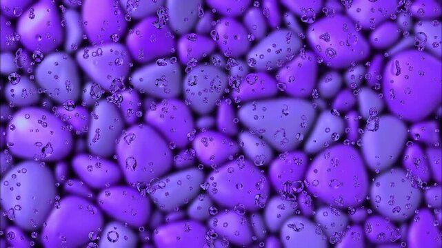 purple and white easter eggs,stone,,water,rain