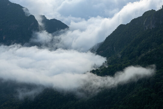 Misty mountain valley dense forest rolling cloud cover, dramatic highland landscape with fog, green ridge, steep slope, and atmospheric wilderness view