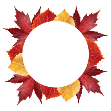 Autumn leaves circular center frame for Thanksgiving emblem product badge label and seasonal social media post