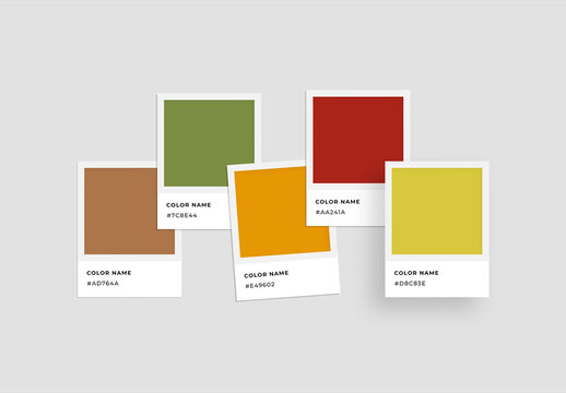 Color Palette Presentation
