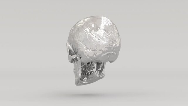 Chrome Metallic Human Skull Anatomical Model Rotating  3D Illustration Video  4K 30fps 3D matte grey human skull animation, 13 seconds, isolated on clean background. Ideal for medical education.
