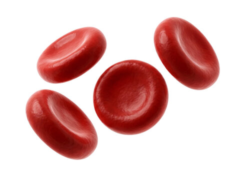 Detailed 3d render of multiple bright red blood cells floating with soft texture and realistic lighting effects on transparent background