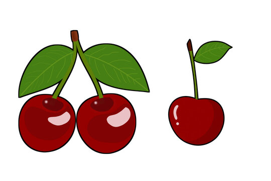 Red cherry fruit illustration, sweet ripe cherries with green leaves, cartoon style food icons on white background
