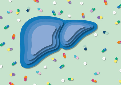Hepatotoxicity, conceptual illustration