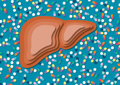 Hepatotoxicity, conceptual illustration