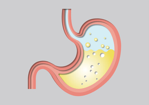 Stomach acid, conceptual illustration