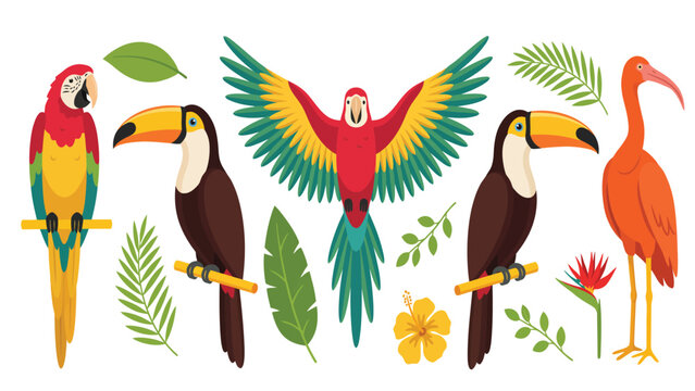 Tropical Jungle Birds Vector Illustration Set with Macaw Toucan and Ibis