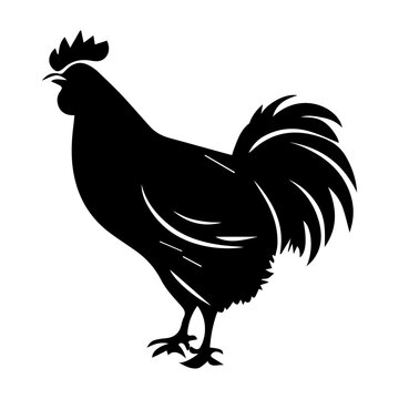 Rooster Silhouette Black Bird Vector Illustration, Farm Chicken Design