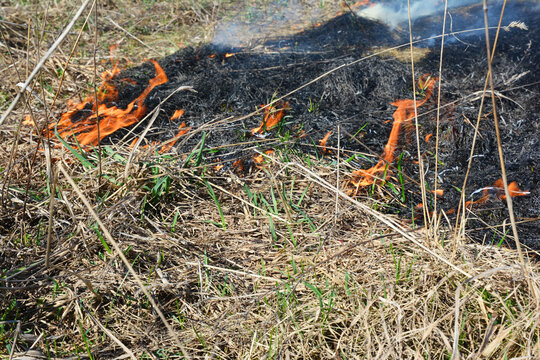 Grass burning fire in field with copy space