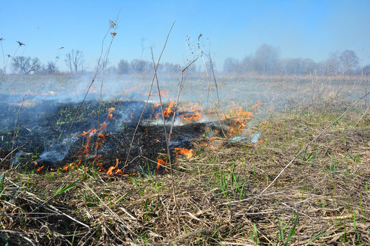 Grass Fire Burning Vegetation During El Nino