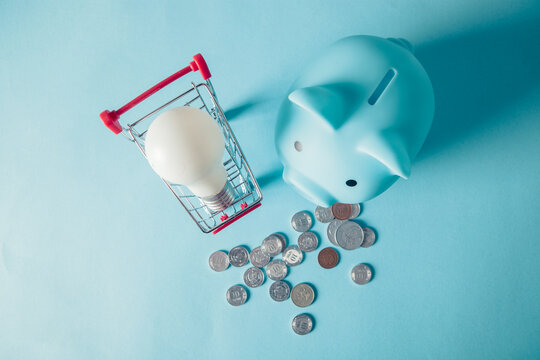 Piggy bank with shopping cart and coins on blue background.