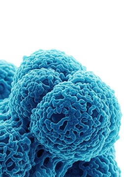 High-resolution scanning electron micrograph showing the irregular surface of malignant cancer cells tinted in deep blue and cyan tones, organic, metastasis, cancer