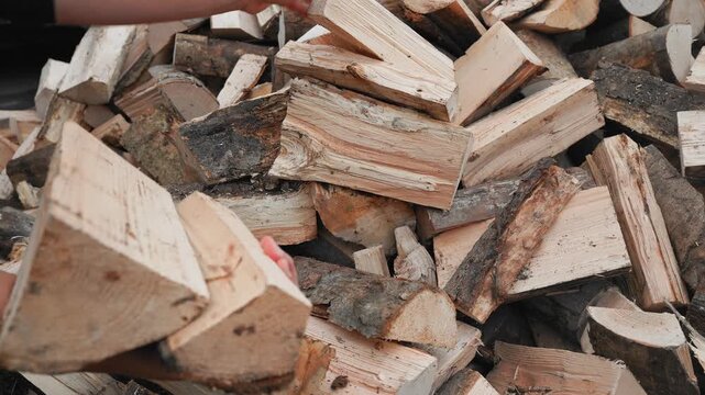 Young Man Carrying Firewood to Storage