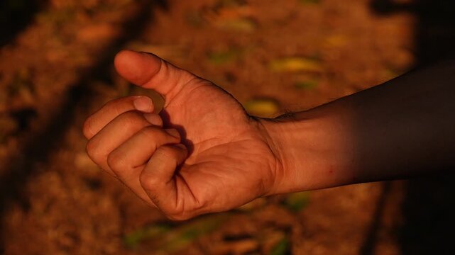 Close-up of a human hand slowly closing from an open palm into a tight fist in warm golden sunlight, symbolizing tension, determination, anger, and self-control.