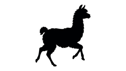 Silhouette of a Llama: A striking black silhouette of a llama in motion, captured against a clean background. Its distinctive profile highlights its unique form and posture. © hafeza