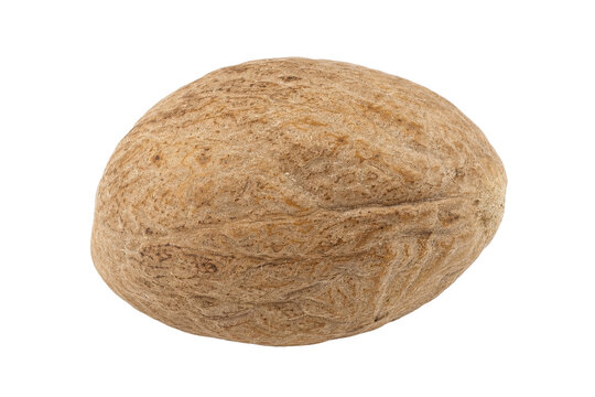 Single whole dried nutmeg seed, with its textured brown shell, is captured in a detailed studio shot on a clean white background